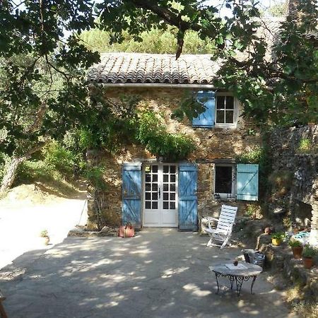 La Bergerie Villa La Garde-Freinet Ngoại thất bức ảnh