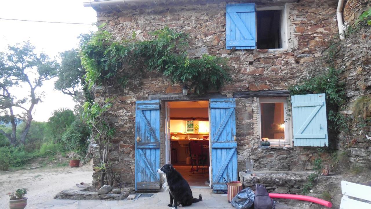 La Bergerie Villa La Garde-Freinet Ngoại thất bức ảnh